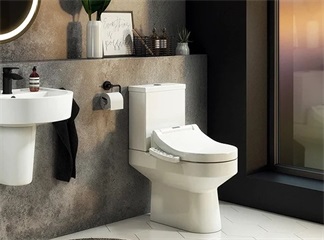 Electric Bidet Seat