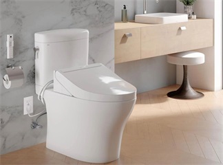 electronic bidet seat