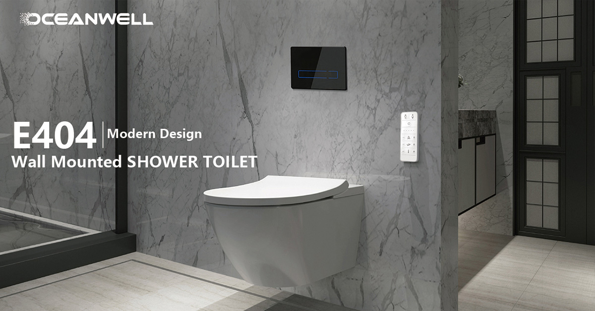 Oceanwell Concealed Cistern for wall hung Smart Toilet