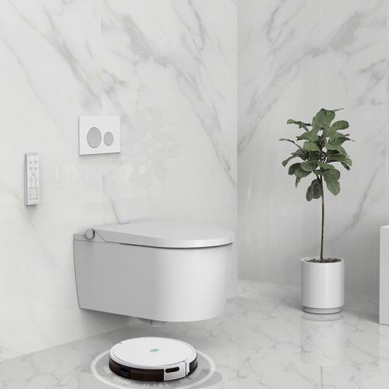 wall hung concealed cistern