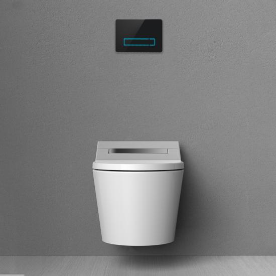 sensor toilet flush