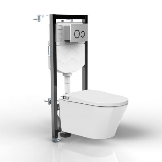 Automatic Smart Toilet