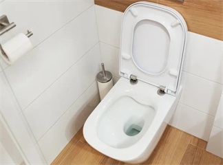 Czy zdejmowane deski sedesowe są sekretem naprawdę czystych toalet?